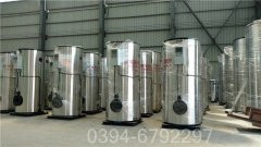 半吨燃煤蒸汽心博(中国)