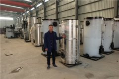 WNS20-1.25-QY型燃油气蒸汽心博(中国)