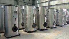 3吨燃煤蒸汽心博(中国)