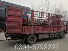 dzl型燃煤热水心博(中国)