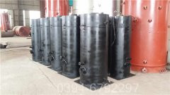 20吨低氮冷凝蒸汽心博(中国)