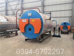 蒸汽双筒心博(中国)