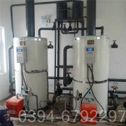 蒸气心博(中国)