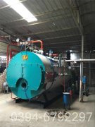 十吨燃煤蒸汽心博(中国)