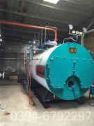 3吨立式蒸汽心博(中国)