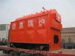 十吨低氮蒸汽心博(中国)