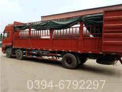 15吨三回程燃气心博(中国)