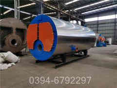 燃油蒸汽心博(中国)报价