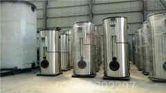 6吨低氮天然气心博(中国)