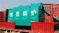 两吨低氮冷凝蒸汽心博(中国)