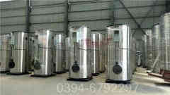 立式燃煤热水心博(中国)