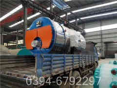 大型电蒸汽心博(中国)