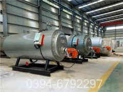 燃煤立式蒸汽心博(中国)