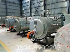 6吨生物质热水心博(中国)