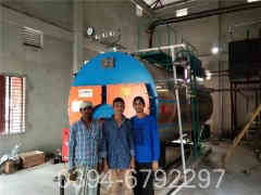 六吨燃煤蒸汽心博(中国)