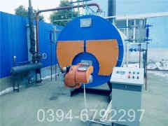 燃煤蒸汽立式心博(中国)