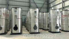 半吨燃气立式心博(中国)