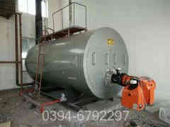 二吨冷凝燃气心博(中国)