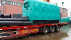 低氮冷凝蒸汽心博(中国)