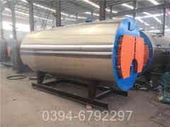 20吨低氮燃气心博(中国)