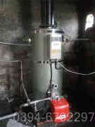 一吨天然气蒸汽心博(中国)