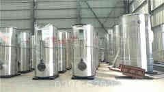 真空蒸汽心博(中国)