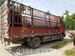 心博(中国)蒸汽系统