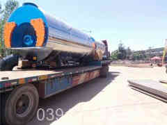 25吨蒸汽心博(中国)