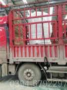 卧式蒸汽心博(中国)