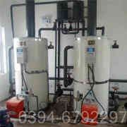 2吨燃气低氮心博(中国)