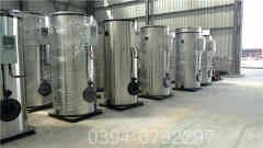 两吨燃油燃气蒸汽心博(中国)