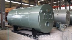 蒸汽燃煤心博(中国)