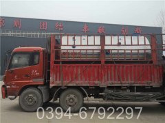 立式生物质热水心博(中国)