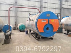 dzl燃煤热水心博(中国)