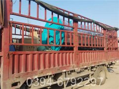 15吨生物质心博(中国)