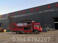 小型燃油蒸汽心博(中国)