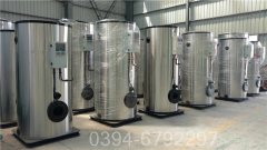 卧式燃气蒸汽心博(中国)