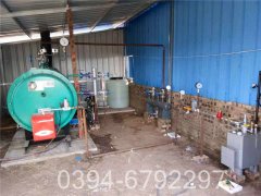 20万大卡低氮热水心博(中国)