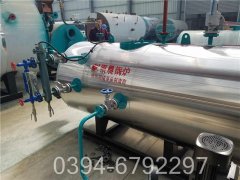 6吨燃气低氮心博(中国)