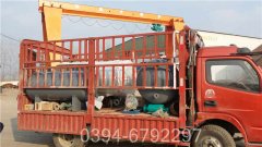 350kw燃油燃气热水心博(中国)