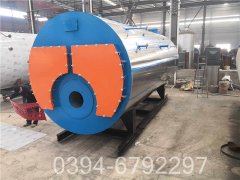 20吨燃煤心博(中国)价格