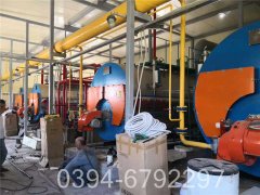 szl型热水心博(中国)