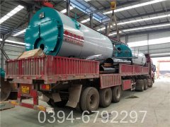 燃煤蒸汽心博(中国)