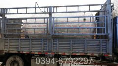 全自动蒸汽心博(中国)