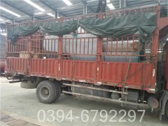 700kw冷凝热水心博(中国)