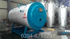 小型卧式燃煤蒸汽心博(中国)