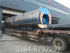 15吨蒸汽心博(中国)