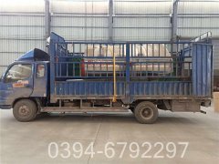 蒸汽心博(中国)的规模