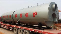 然油燃气蒸汽心博(中国)