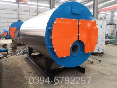 立体的燃煤蒸汽心博(中国)